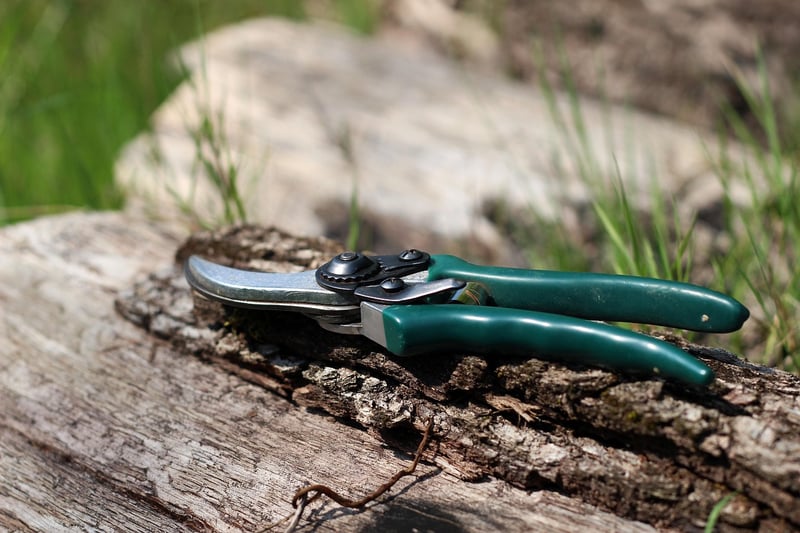 Spring Pruning