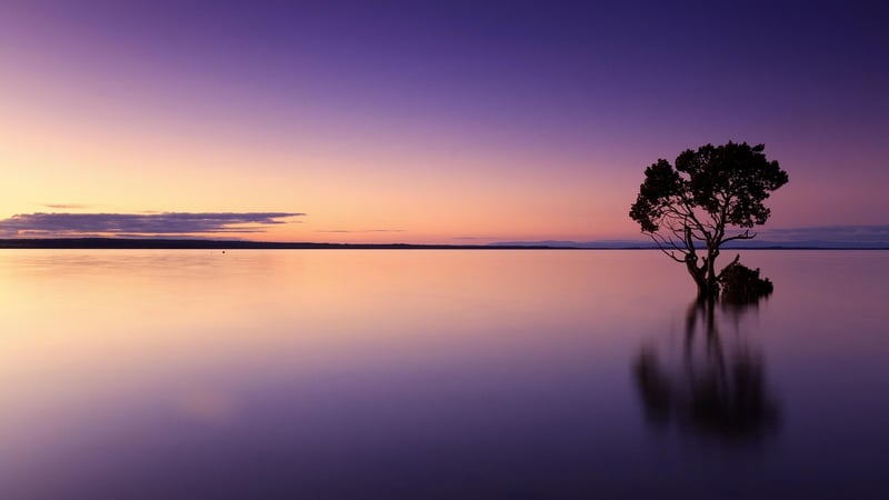 Summer Sunset